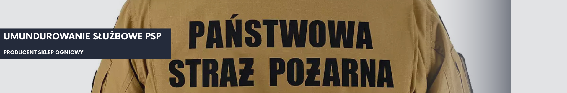 Baner główny